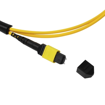 Πλήρωμα OFNP MPO Patch Cord 1m 3ft MTP-12 APC Γυναίκα σε MTP-12 APC Γυναίκα Μονή OS2