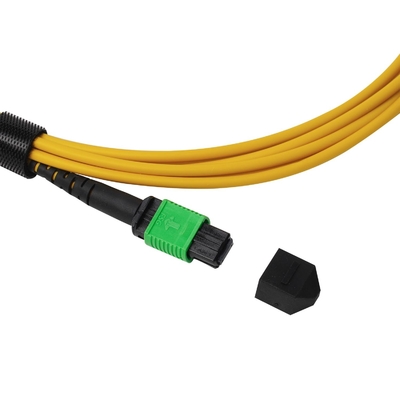 Πλήρωμα OFNP MPO Patch Cord 1m 3ft MTP-12 APC Γυναίκα σε MTP-12 APC Γυναίκα Μονή OS2