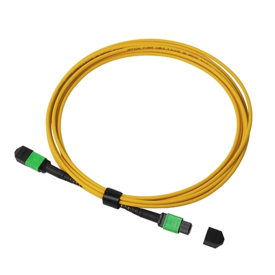 Πλήρωμα OFNP MPO Patch Cord 1m 3ft MTP-12 APC Γυναίκα σε MTP-12 APC Γυναίκα Μονή OS2