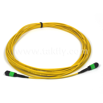 Πλήρωμα OFNP MPO Patch Cord 1m 3ft MTP-12 APC Γυναίκα σε MTP-12 APC Γυναίκα Μονή OS2