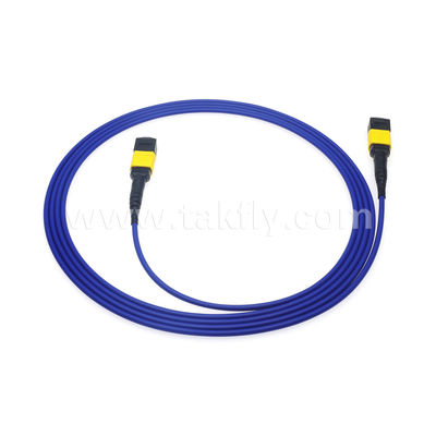MPO/MTP Patchcord Blinded Trunk Cable SM/MM Jumper Οπτική ίνα για κέντρο δεδομένων AI FTTX Telecom