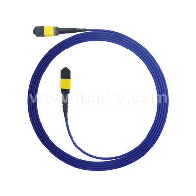 MPO/MTP Patchcord Blinded Trunk Cable SM/MM Jumper Οπτική ίνα για κέντρο δεδομένων AI FTTX Telecom