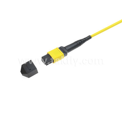 MPO/MTP Patchcord Blinded Trunk Cable SM/MM Jumper Οπτική ίνα για κέντρο δεδομένων AI FTTX Telecom