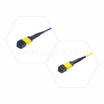 MPO/MTP Patchcord Blinded Trunk Cable SM/MM Jumper Οπτική ίνα για κέντρο δεδομένων AI FTTX Telecom