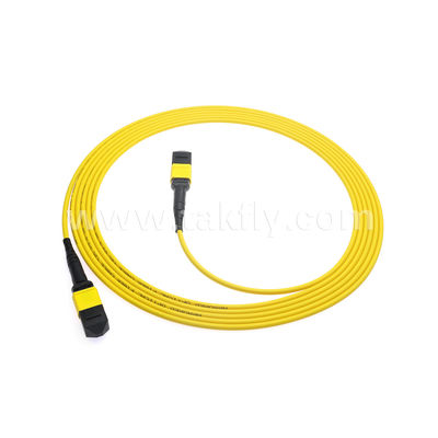MPO/MTP Patchcord Blinded Trunk Cable SM/MM Jumper Οπτική ίνα για κέντρο δεδομένων AI FTTX Telecom