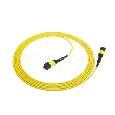 MPO/MTP Patchcord Blinded Trunk Cable SM/MM Jumper Οπτική ίνα για κέντρο δεδομένων AI FTTX Telecom