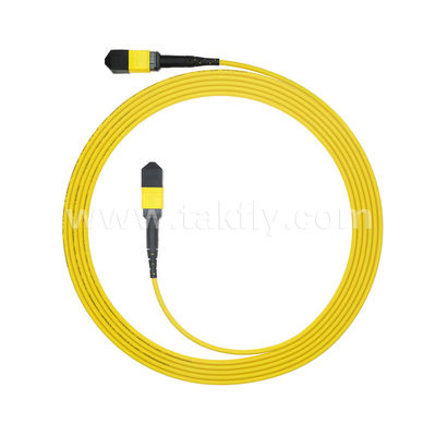 MPO/MTP Patchcord Blinded Trunk Cable SM/MM Jumper Οπτική ίνα για κέντρο δεδομένων AI FTTX Telecom