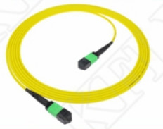 2m 7ft MTP Patch Cord Plenum OFNP MPO Patch Cord Cable 3.0mm MTP 12F APC Γυναίκα Ελίτ
