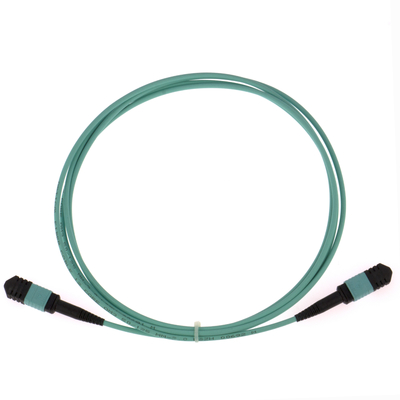 Ελίτ πολυμέτωπος OM3 50/125, Πλήρης OFNP τύπου Β MPO Patch Cord 3m 10ft MTP-12 PC Γυναίκα προς MTP-12 PC Γυναίκα