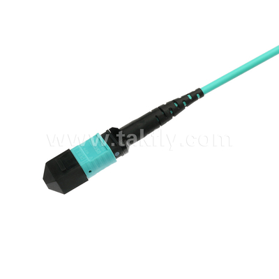 Ελίτ πολυμέτωπος OM3 50/125 Πλήρης OFNP τύπου Β MPO Patch Cord 30m 100ft MTP-12 PC Γυναίκα προς MTP-12 PC Γυναίκα