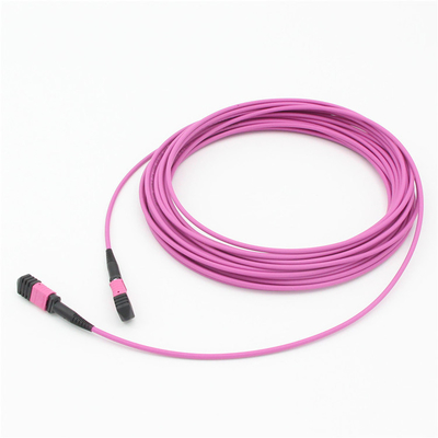 Elite Multimode OM4 50/125, Plenum OFNP Type B MPO patch cord 1m 3ft MTP-12 PC Γυναίκα σε MTP-12 PC Γυναίκα