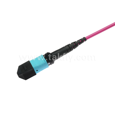 Elite Multimode OM4 50/125, Plenum OFNP Type B MPO patch cord 1m 3ft MTP-12 PC Γυναίκα σε MTP-12 PC Γυναίκα