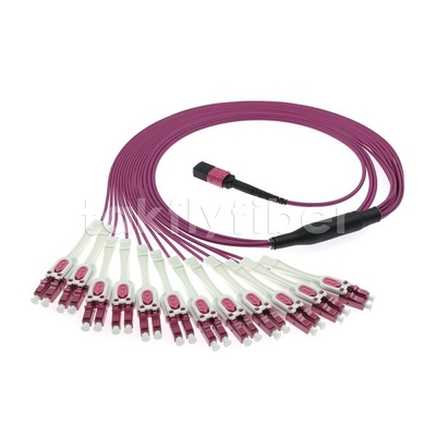 24F MTP 12x LC DX Uniboot OM4 Fiber Patch Cord για δίκτυα υψηλής ταχύτητας