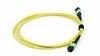 Καλώδιο Patch Fiber MPO-MPO για Κέντρο Δεδομένων 8-24 Πυρήνων