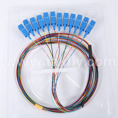 12 Core SC/UPC Single-Mode Fiber Optic Pigtail with 900um Tight Buffer and 2 Years Warranty