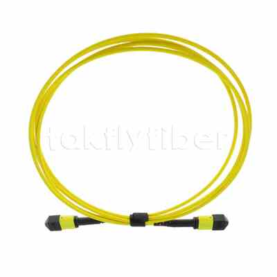 Καλώδιο κορμού 5M MTP® MPO, MTP®-12 APC (Θηλυκό) σε MTP®-12 APC (Θηλυκό), 12 Ίνες, OS2 Plenum (OFNP), 0.35dB Max