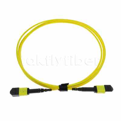 Καλώδιο κορμού 5M MTP® MPO, MTP®-12 APC (Θηλυκό) σε MTP®-12 APC (Θηλυκό), 12 Ίνες, OS2 Plenum (OFNP), 0.35dB Max