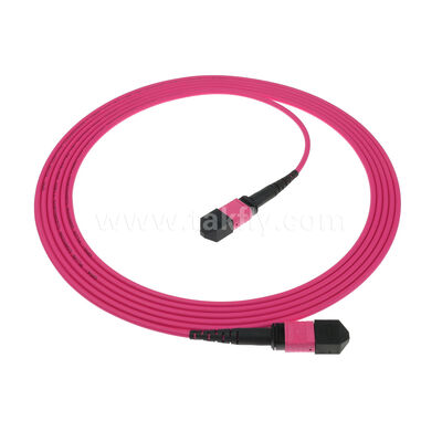 MPO MTP Αρσενικό Θηλυκό 8F 12F 16F 24F MM Πολυτροπική OM4 Fiber Optic Patchcord / Οπτικό Καλώδιο Patch / Οπτικό Καλώδιο Breakout / Οπτικό Καλώδιο Κορμού Οπτικών Ινών