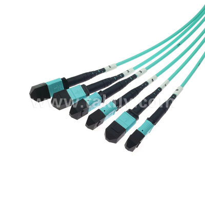6x12F MPO MTP Αρσενικό Θηλυκό 72 Ίνες MM Πολυτροπικό OM3 OM4 Fiber Optic Patchcord / Οπτικό Καλώδιο Patch / Οπτικό Καλώδιο Breakout / Οπτικό Καλώδιο Κορμού / Οπτικό Καλώδιο Fanout