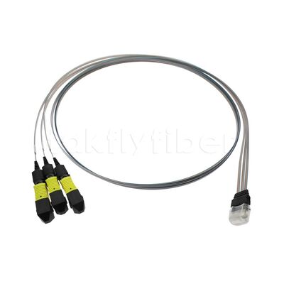 3x12F MTP - 36CH Fiber Array FA Assembly με Υψηλό Ρυθμό Μετάδοσης, Χαμηλή Κατανάλωση και Υψηλή Σταθερότητα και Αξιοπιστία