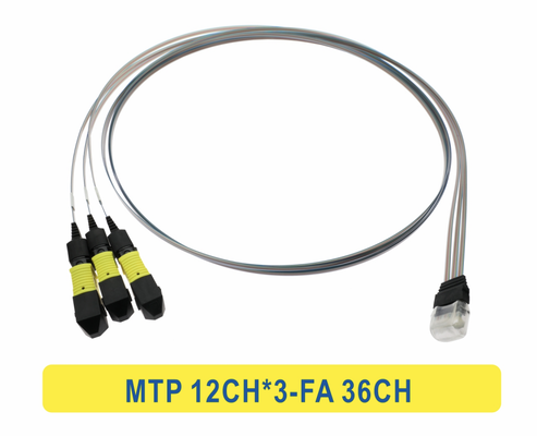 3*12F MTP έως 36CH FA Fiber Array Fiber Optic Patchcord Cable