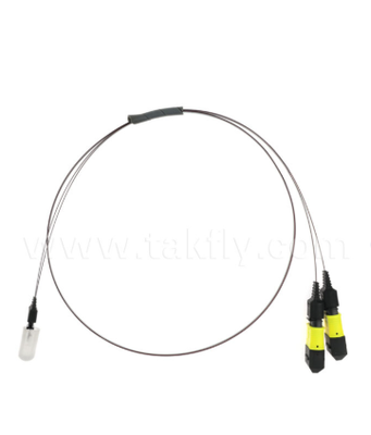Συνδυασμός MTP-16CH-FA Fiber Array ∙ Συνδέσμος MTP σε 16-κανάλι V-Groove Fiber Array, χαμηλή απώλεια εισαγωγής, για υψηλής ταχύτητας οπτικούς δέκτες και εφαρμογές CPO/Data Center