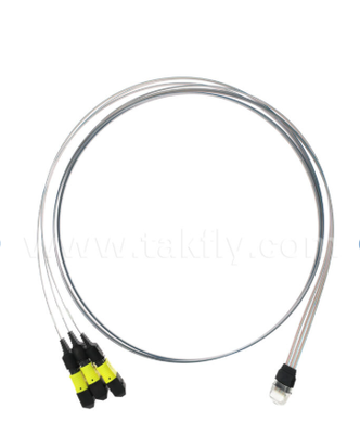 Συγκρότημα συστοιχίας ινών MTP 12CH × 3 έως 36 καναλιών 3 × 12CH Συνδέσεις MTP έως 36CH V-Groove FAU, χαμηλή απώλεια εισαγωγής, για οπτικούς δέκτες 1.6T και οπτικές συσκευασίες (CPO)