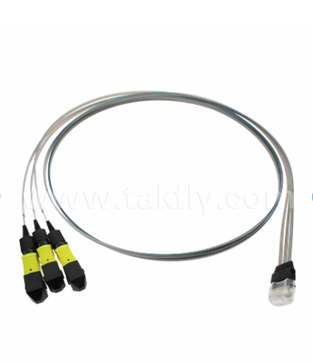 Συγκρότημα συστοιχίας ινών MTP 12CH × 3 έως 36 καναλιών 3 × 12CH Συνδέσεις MTP έως 36CH V-Groove FAU, χαμηλή απώλεια εισαγωγής, για οπτικούς δέκτες 1.6T και οπτικές συσκευασίες (CPO)