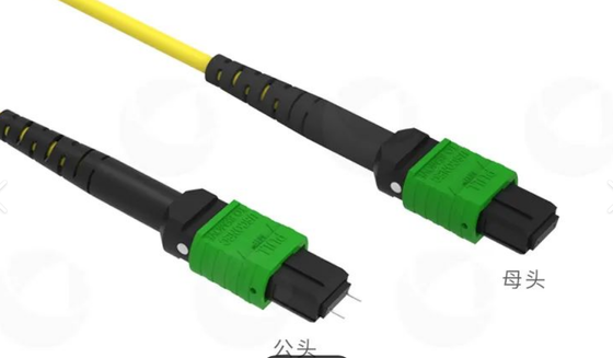 8F 12F 16F 24F MPO MTP αρσενικό θηλυκό SM MM Fiber Optic Patchcord / Optical Fiber Patch Cable / Optical Breakout Cable / Optical Fiber Trunk Cable για κέντρα δεδομένων υψηλής πυκνότητας