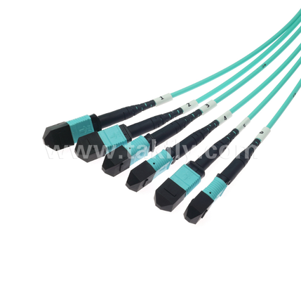 72-Core MPO/PC Trunk Patch Cord OM3 Multimode, 6×MPO Input σε 6×MPO Output, χαμηλή απώλεια εισαγωγής, για εφαρμογές υψηλής πυκνότητας κέντρου δεδομένων & 40G/100G SR4/SR10