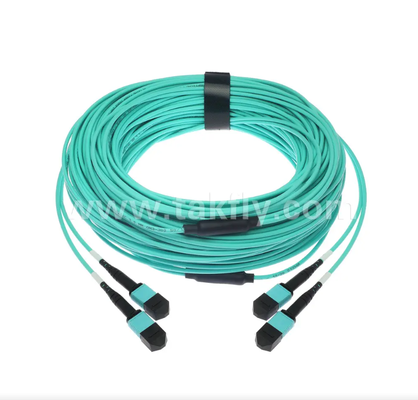 24-Core MPO/PC Mini Trunk Patch Cord   OM3 Multimode, 2×MPO Input σε 2×MPO Output, χαμηλή απώλεια εισαγωγής, για εφαρμογές υψηλής πυκνότητας κέντρου δεδομένων και 40G/100G SR4