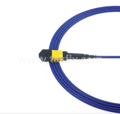 Armored MPO/MTP Patch Cord – Robust Metal Sheath, Prevents Rodent Damage & Crushing, for FTTA / Industrial / Mining