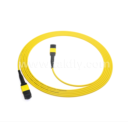 Armored MPO/MTP Patch Cord – Robust Metal Sheath, Prevents Rodent Damage & Crushing, for FTTA / Industrial / Mining