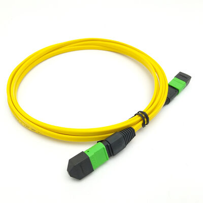 High‑Performance MPO/MTP Patch Cord – 8/12/24 Fibers, Low Loss, IEC & TIA Compliant