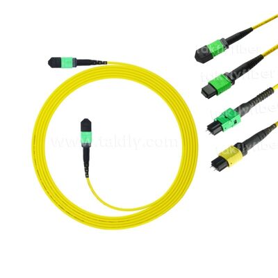 MPO MTP Patchcord SM Trunk Cable 12F Οπτική ίνα για κέντρο δεδομένων AI Telecom FTTX καλωδίωση
