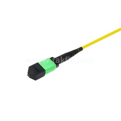 MPO MTP Patchcord SM Trunk Cable 12F Οπτική ίνα για κέντρο δεδομένων AI Telecom FTTX καλωδίωση