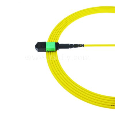 MPO MTP Patchcord SM Trunk Cable 12F Οπτική ίνα για κέντρο δεδομένων AI Telecom FTTX καλωδίωση