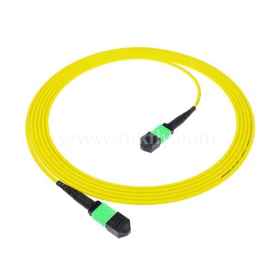 MPO MTP Patchcord SM Trunk Cable 12F Οπτική ίνα για κέντρο δεδομένων AI Telecom FTTX καλωδίωση