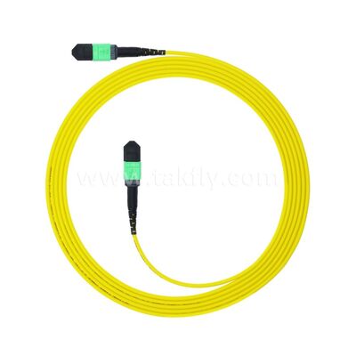 MPO MTP Patchcord SM Trunk Cable 12F Οπτική ίνα για κέντρο δεδομένων AI Telecom FTTX καλωδίωση
