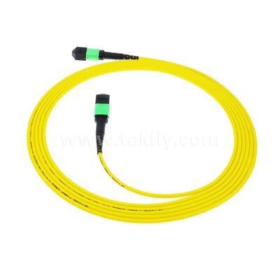 MPO MTP Patchcord SM Trunk Cable 12F Οπτική ίνα για κέντρο δεδομένων AI Telecom FTTX καλωδίωση
