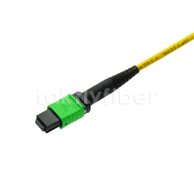 MPO MTP Patchcord SM Trunk Cable 12F Οπτική ίνα για κέντρο δεδομένων AI Telecom FTTX καλωδίωση