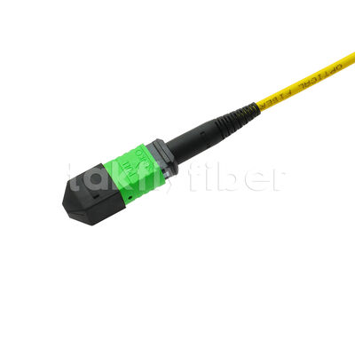 MPO MTP Patchcord SM Trunk Cable 12F Οπτική ίνα για κέντρο δεδομένων AI Telecom FTTX καλωδίωση