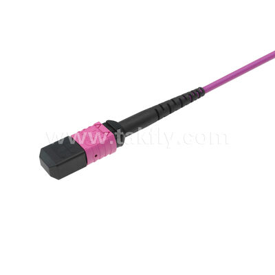 MPO MTP Patchcord Multimode OM4 Trunk Cable 24F Οπτική ίνα για κέντρα δεδομένων