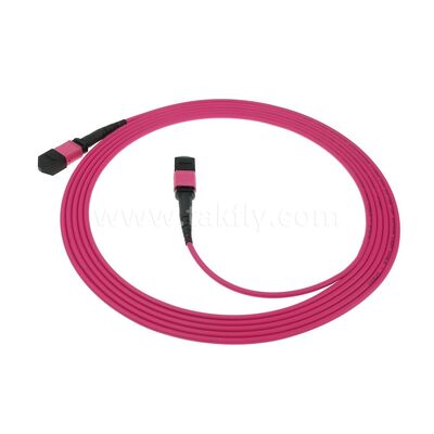 MPO MTP Patchcord Multimode OM4 Trunk Cable 24F Οπτική ίνα για κέντρα δεδομένων