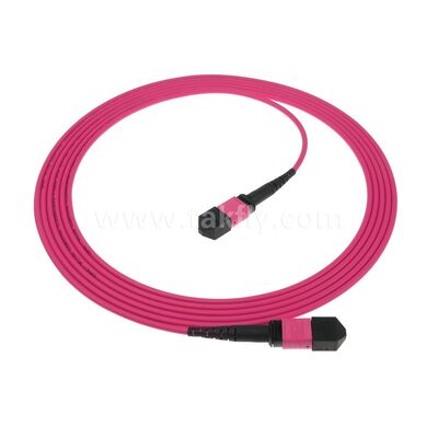 MPO MTP Patchcord Multimode OM4 Trunk Cable 24F Οπτική ίνα για κέντρα δεδομένων