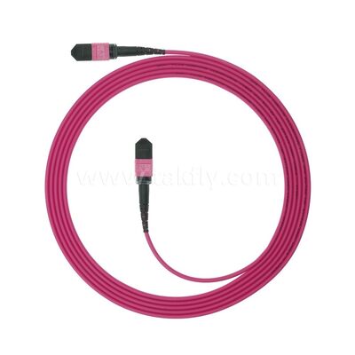 MPO MTP Patchcord Multimode OM4 Trunk Cable 24F Οπτική ίνα για κέντρα δεδομένων
