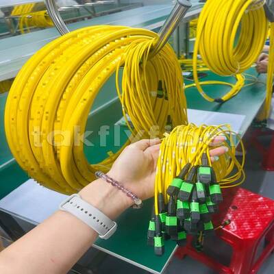 Takfly MPO/MTP Patch Cord 8/12/24 Κόρδοι έως 576 Κόρδοι Χαμηλή απώλεια 500 κύκλοι ζευγαρώματος Συμμόρφωση με την IEC & TIA