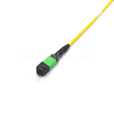 Amphenol Προσαρμοσμένα 288 ίνες 0,35dB Max Insertion Loss Singlemode OS2 MPO Τραμβό καλώδιο για κέντρο δεδομένων