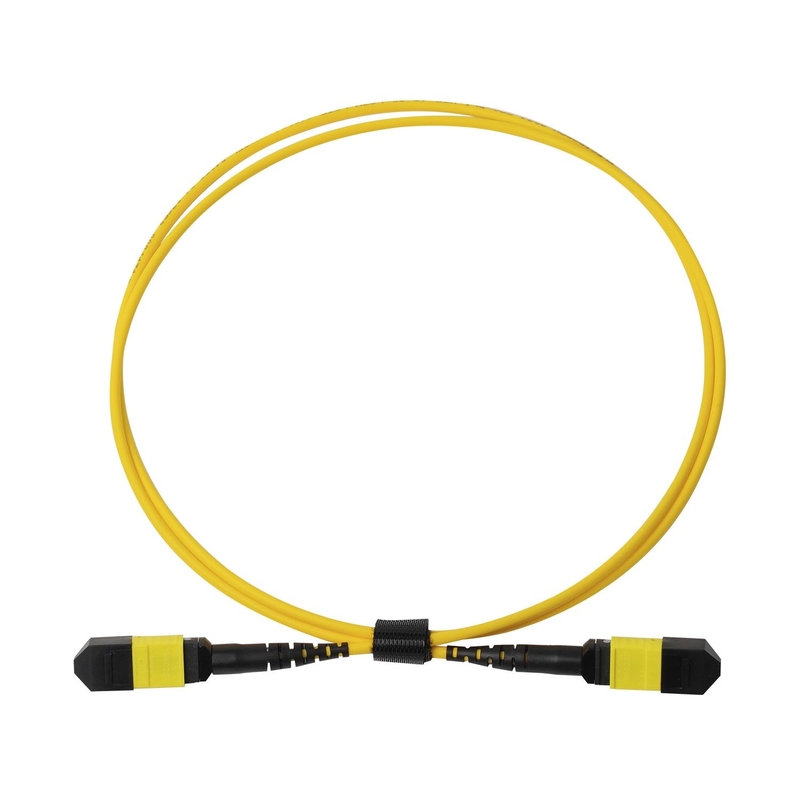 Πλήρωμα OFNP MPO Patch Cord 1m 3ft MTP-12 APC Γυναίκα σε MTP-12 APC Γυναίκα Μονή OS2