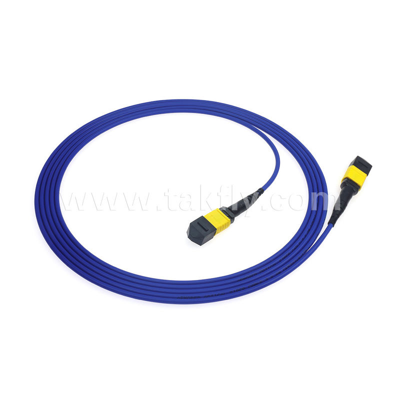 MPO/MTP Patchcord Blinded Trunk Cable SM/MM Jumper Οπτική ίνα για κέντρο δεδομένων AI FTTX Telecom